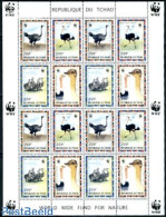 Chad 2006 WWF, Ostrich M/s (with 4 Sets), Mint NH, Nature - Birds - World Wildlife Fund (WWF) - Andere & Zonder Classificatie
