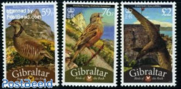 Gibraltar 2010 Definitives, Birds 3v, Mint NH, Nature - Birds - Gibraltar