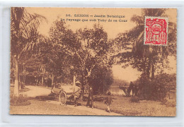 Vietnam - SAIGON - Jardin Botanique - Ed. Paulussen Gillot 36 - Viêt-Nam