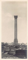 Egypt - ALEXANDRIA - Pompey's Pillar - SMALL SIZE POSTCARD - Publ. Zakal 14 - Other & Unclassified