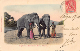 Malaysia - Federated Malay States - Elephants - Publ. G. R. Lambert & Co.  - Malesia