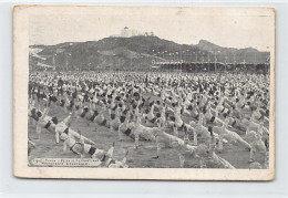 Tunisie - TUNIS - Fête De Gymnastique 1912 - Mouvements D'ensemble - Ed. Inconnu  - Tunisia