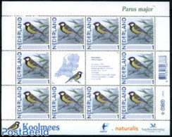 Netherlands 2011 Personal Stamp M/s, Bird, Mint NH, Nature - Birds - Neufs