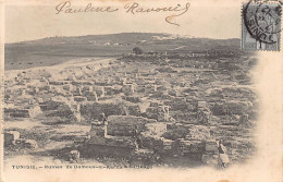 CARTHAGE - Ruines De Damous-el-Karita - Ed. D'Amico  - Tunisia