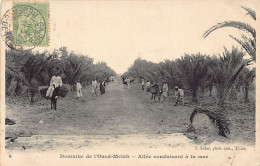 Tunisie - Domaine De L'Oued-Melah - Allée Condusiant à La Mer - Ed. F. Soler 8 - Tunisia