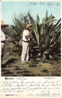 Mexico - Tlachiquero - Ed. Desconocido  - Mexiko
