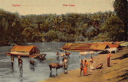 Sri Lanka - River Scene - Publ. Plâté & Co. 8 - Sri Lanka (Ceylon)