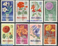 Romania 1964 Garden Flowers 8v, Mint NH, Nature - Flowers & Plants - Unused Stamps