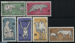 Czechoslovkia 1962 Praha Zoo 6v, Mint NH, Nature - Animals (others & Mixed) - Bears - Camels - Cat Family - Elephants .. - Other & Unclassified