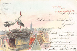 Chromolithographie - Collection Des Cigognes De STRASBOURG - Le Premier Oeuf - Strassburger Druckerei & Verlagsanstalt - Strasbourg