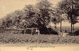 VIRTON (Lux.) Cyclone Du 17 Juin 1904 - Bâtiment Ravagé - Virton