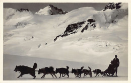 JUNGFRAUJOCH (VS) Polarhunde Auf Dem Aletschgletscher - Photoglob Wehrli Vouga - Autres & Non Classés