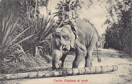 Sri Lanka - Ceylon Elephant At Work - Publ. M. B. Uduman 128 - Sri Lanka (Ceilán)