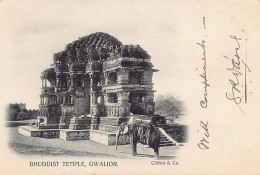 India - GWALIOR - Elephant In Front Of A Buddhist Temple - Publ. Clifton & Co.  - Inde