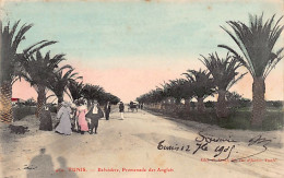 Tunisie - TUNIS - Belvédère, Promenade Des Anglais - Ed. P. Louit 409 Aquarellée - Tunisia