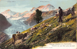 Suisse - Valais - Paysage Alpestre à La Hermaettje - Chemin Du Lac Noir Près Zermatt - Lyskamm - Breithorn - Berger - Va - Autres & Non Classés