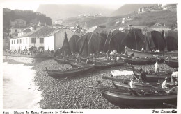 Madeira - CÂMARA DE LOBOS - Barcos De Pesca - Ed. Foto Perestrellos 199 - Madeira
