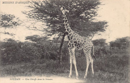 Mali - Une Girafe Dans La Brousse - Ed. Soeurs Missionnaires De N.-D. D'Afrique  - Mali