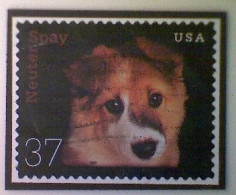 United States, Scott #3671, Used(o), 2002, Puppy Dog, 37¢, Multicolored - Used Stamps