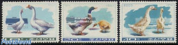 Korea, North 1976 Ducks & Goose 3v, Mint NH, Nature - Birds - Ducks - Geese - Korea, North