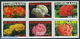 Suriname, Republic 2008 Flowers 6v [++], Mint NH, Nature - Flowers & Plants - Suriname