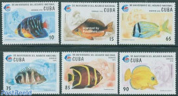 Cuba 1995 Fish 6v, Mint NH, Nature - Fish - Nuevos