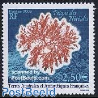 French Antarctic Territory 2005 Corals, Peigne Des Nereides 1v, Mint NH, Nature - Nuovi
