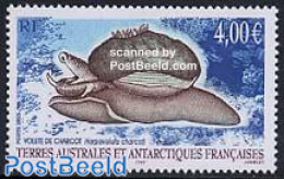 French Antarctic Territory 2005 Sledge, Volute De Charcot, Mint NH, Nature - Animals (others & Mixed) - Nuevos