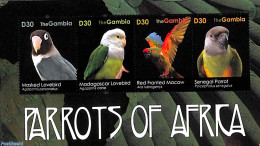 Gambia 2011 Parrots Of Africa 4v M/s, Mint NH, Nature - Various - Birds - Parrots - Round-shaped Stamps - Gambie (...-1964)