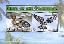 Saint Vincent & The Grenadines 2011 Birds Of The Caribbean 2v M/s, Mint NH, Nature - Birds - Ducks - St.Vincent E Grenadine
