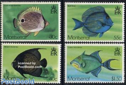 Montserrat 1978 Fish 4v, Mint NH, Nature - Fish - Vissen