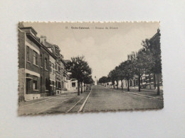 Carte Postale Ancienne Uccle-Calevoet Avenue Du Silence - Uccle - Ukkel