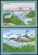 Ghana 1994 Birds 2 S/s, Mint NH, Nature - Birds - Autres & Non Classés