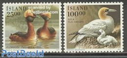 Iceland 1991 Birds 2v, Mint NH, Nature - Birds - Ducks - Ongebruikt