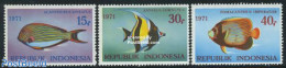 Indonesia 1971 Fish 3v, Mint NH, Nature - Fish - Poissons