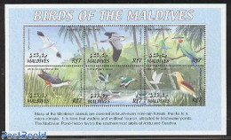 Maldives 2002 Birds 6v M/s, Circus Macrourus, Mint NH, Nature - Birds - Maldives (1965-...)