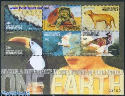 Micronesia 2001 One Earth 6v M/s, Mint NH, Nature - Animals (others & Mixed) - Birds - Birds Of Prey - Turtles - Micronesia