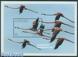 Saint Vincent 1997 Flamingos S/s, Mint NH, Nature - Birds - Flamingo - St.Vincent (1979-...)