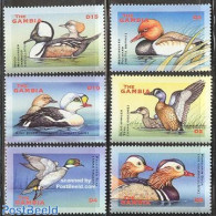 Gambia 2001 Ducks 6v, Mint NH, Nature - Birds - Ducks - Gambia (...-1964)