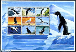 Gambia 1999 Sea Birds 9v M/s, Mint NH, Nature - Birds - Gambia (...-1964)