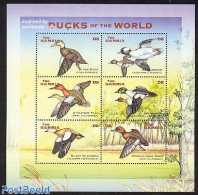Gambia 2001 Ducks 6v M/s, Mint NH, Nature - Birds - Ducks - Gambie (...-1964)