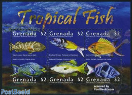 Grenada Grenadines 2008 Tropical Fish 6v M/s, Mint NH, Nature - Fish - Fische