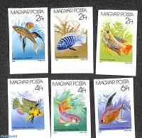Hungary 1987 Tropical Fish 6v Imperforated, Mint NH, Nature - Fish - Unused Stamps