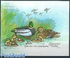 Hungary 1988 Wild Ducks S/s Imperforated, Mint NH, Nature - Birds - Ducks - Unused Stamps