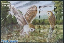 Jersey 2001 Barn Owl S/s, Mint NH, Nature - Birds - Birds Of Prey - Owls - Jersey