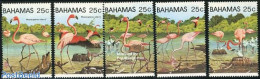 Bahamas 1982 Flamingoes 5v, Mint NH, Nature - Birds - Flamingo - Altri & Non Classificati