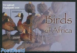 Burundi 2004 African Birds S/s, Mint NH, Nature - Birds - Sonstige & Ohne Zuordnung