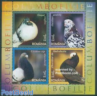 Romania 2005 Pigeons 4v M/s, Mint NH, Nature - Birds - Neufs