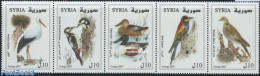 Syria 2007 Birds 5v [::::], Mint NH, Nature - Birds - Ducks - Syrië