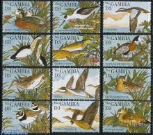 Gambia 1995 Waterbirds 12v, Mint NH, Nature - Birds - Ducks - Gambie (...-1964)